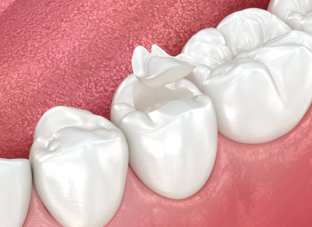 Best Cosmetic Dentistry  in , FL